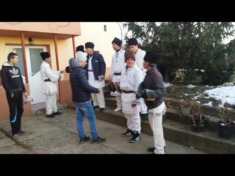 Pluguşorul de la Căldăraru!