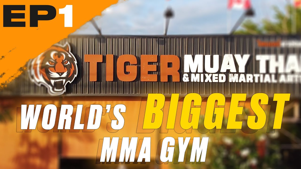 World's Biggest MMA Gym: Tiger Muay Thai | First Day in Phuket