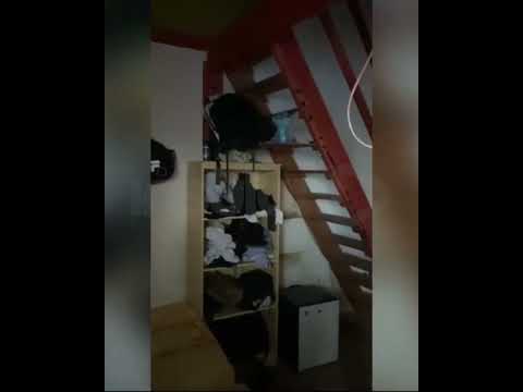 Guardia Civil detuvo a dos hombres implicados en el homicidio del ciudadano danés.