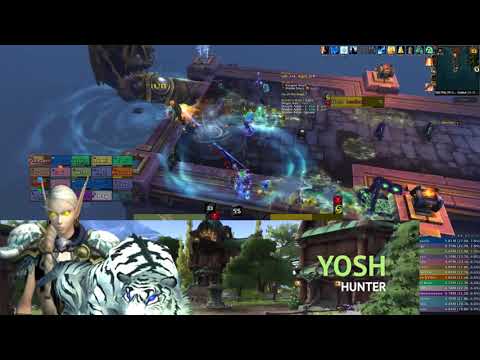 Adapt vs Stormwall Blockade Mythic