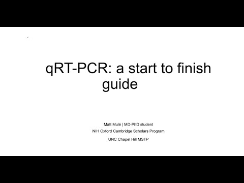 A Start to Finish Guide to Target Gene Validation Using Quantitative RT-PCR