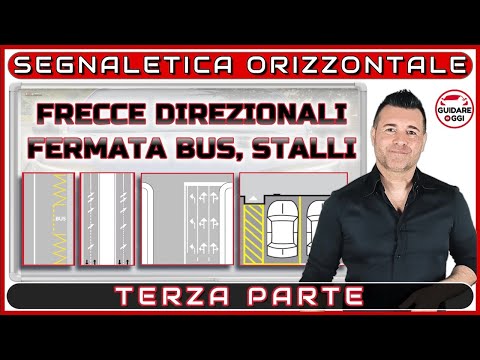LA SEGNALETICA ORIZZONTALE - ultima parte -  SPIEGATA PER SUPERARE L’ESAME TEORICO DELLA PATENTE
