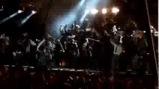 SEEED goosebumps (harlem shake part2) LIVE @ WUHLHEIDE BERLIN 25-08-2013