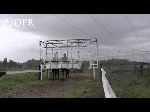 Casino Prince x Elyria and All American x Kvarena