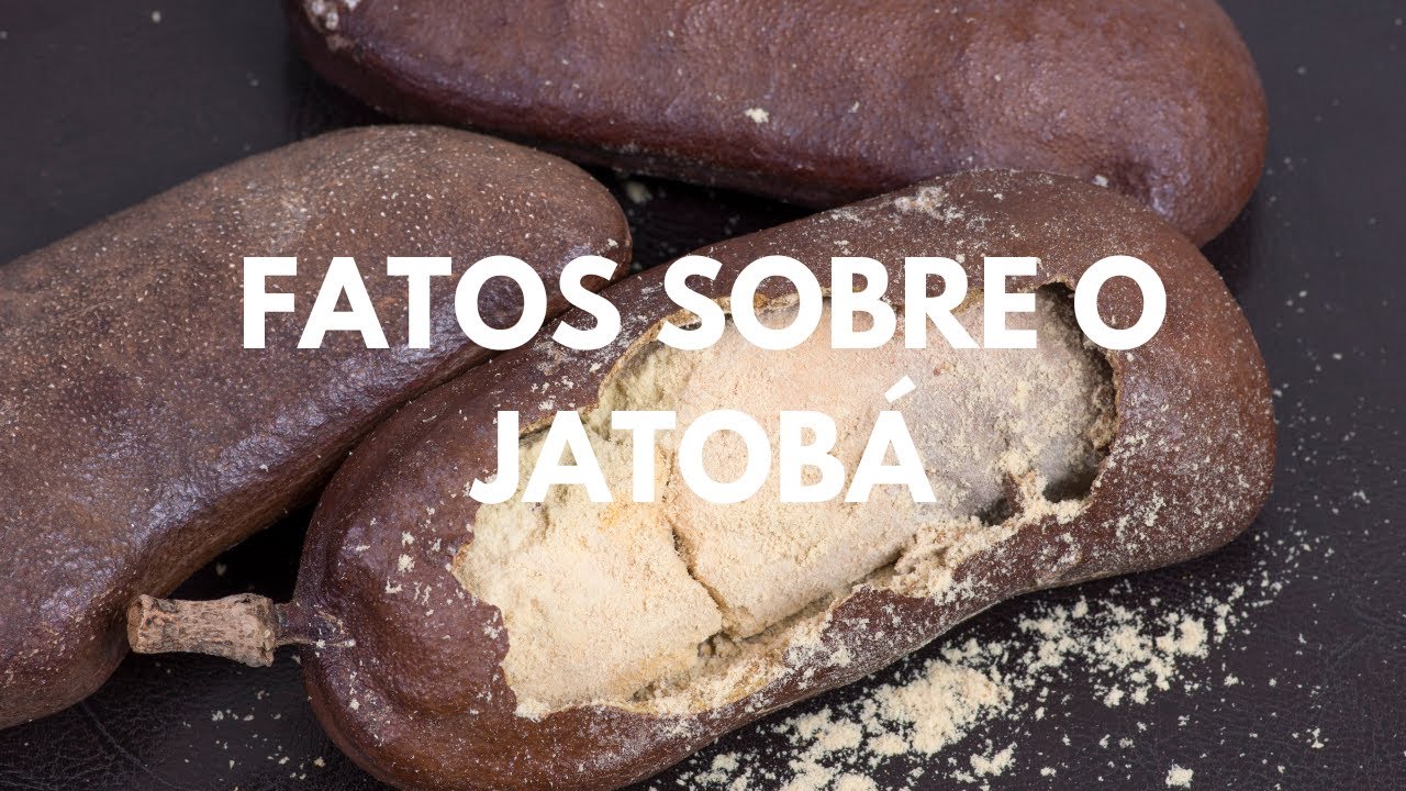 Curiosidades Fascinantes Sobre O Jatobá