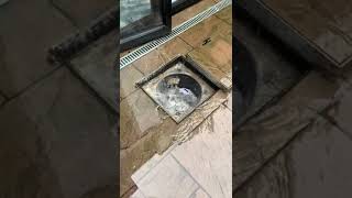 Album cover: Drainage videos