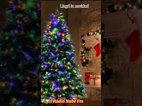 Llegó la Navidad