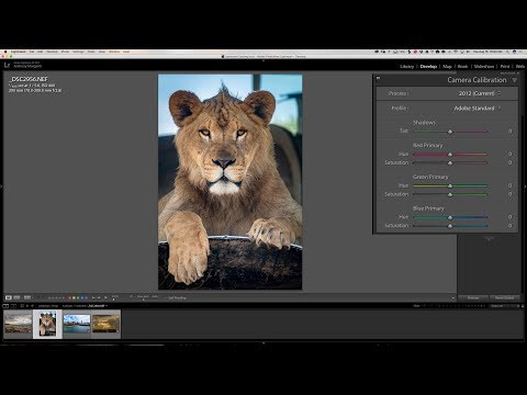 Lightroom Quick Tips - Episode 128: Camera Calibration