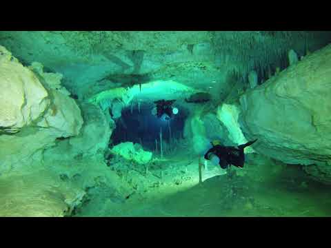 Cenote Mosquito Factory in Mexico