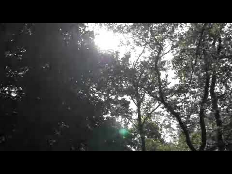 download lagu mp3 mp4 Esmee De La Bretoniere, download lagu Esmee De La Bretoniere gratis, unduh video klip Esmee De La Bretoniere
