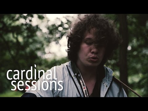 Trevor Sensor - Swallows Sing Their Song - CARDINAL SESSIONS (Haldern Pop Special)