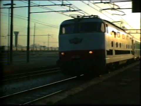 E444   Tartarughe in Romagna - 04 ( completo )