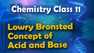 Lowry Bronsted Concept of Acid and Base - Chemical Equilibrium - Chemistry Class 11