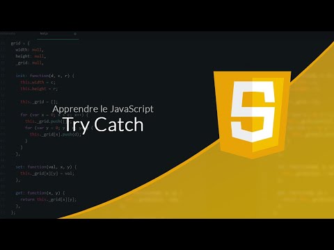 Apprendre le JavaScript Chapitre 10 Try Catch