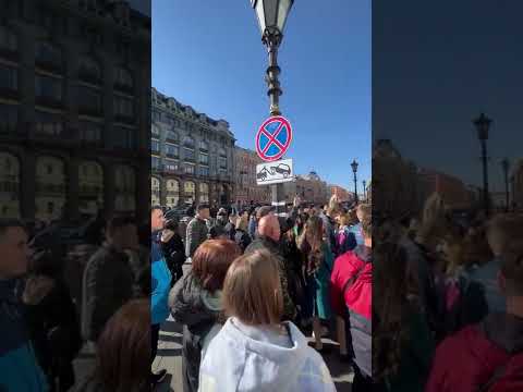 Уличные музыканты, солнце и Невский проспект. Всё что нужно для счастья в Петербурге!😎