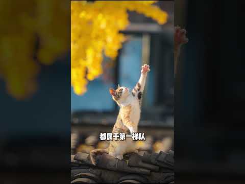 评论区摄影大赛 #摄影 #拍照