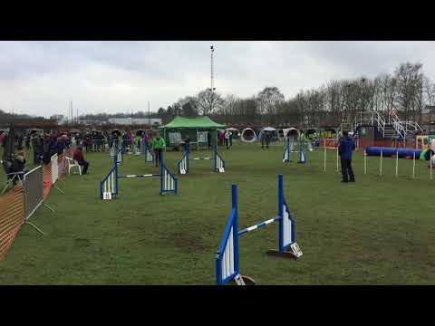 Nesquick jumping genebos 1.4.18