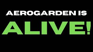 AEROGARDEN is back from the DEAD!?!?!