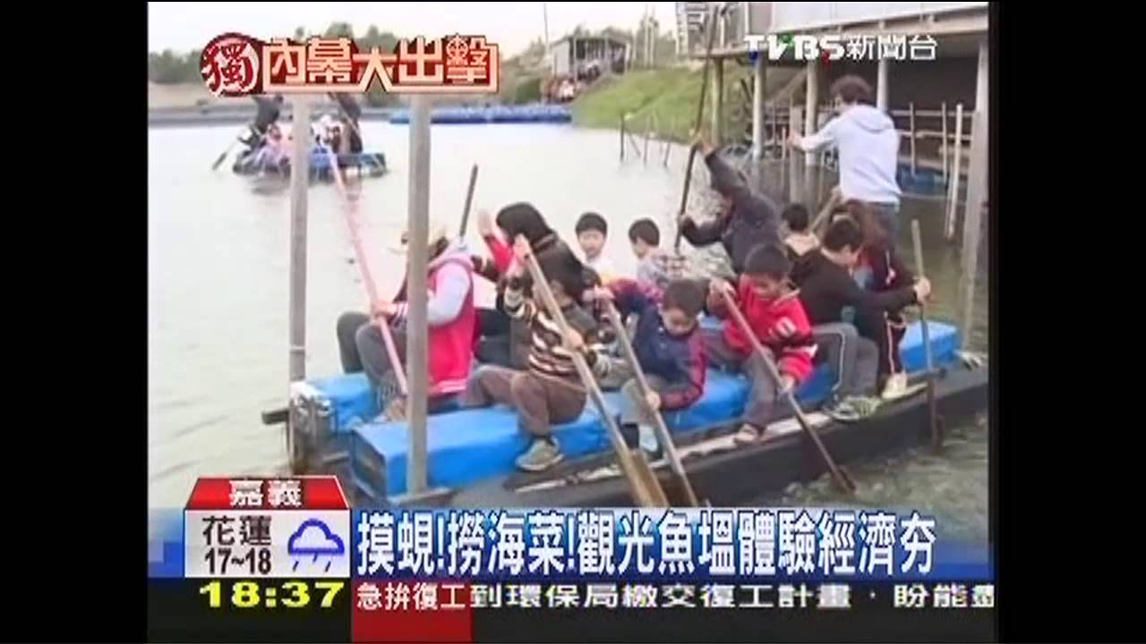 〈獨家〉摸蜆！撈海菜！　觀光魚塭體驗經濟夯