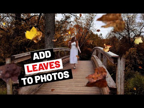 Adding Falling Leaves To Photos For Autumn