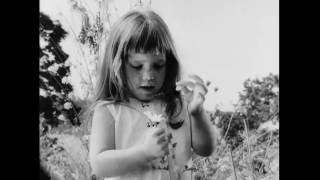 [問卦] 世界上最早的芒果乾廣告？