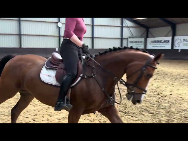 Riding and Jumping movie Asterix dei Preziosi Z.