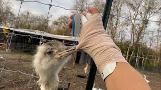 Download lagu Kevin Broke my Hand Again mp3 Download lagu Kevin Broke my Hand Again mp3