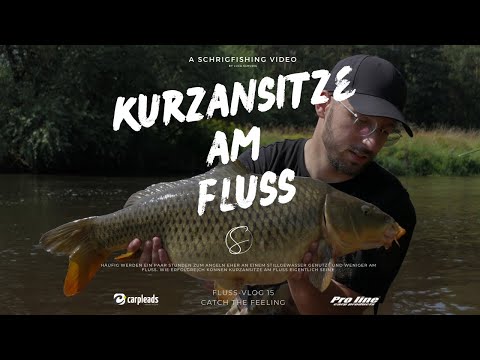 River Vlog 15 - How successful can short sessions on the river be? - Carp fishing in rivers 2024 ...