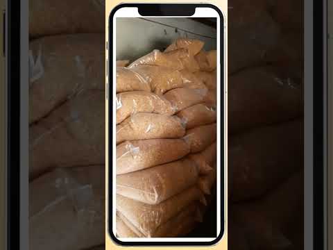 Dehydrated onion powder, packaging size: 100g