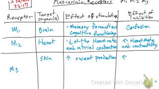 Muscarinic receptors