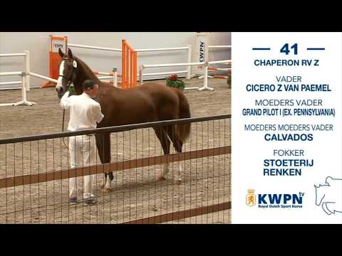 41. Chaperon RV Z v. Cicero Z van Paemel