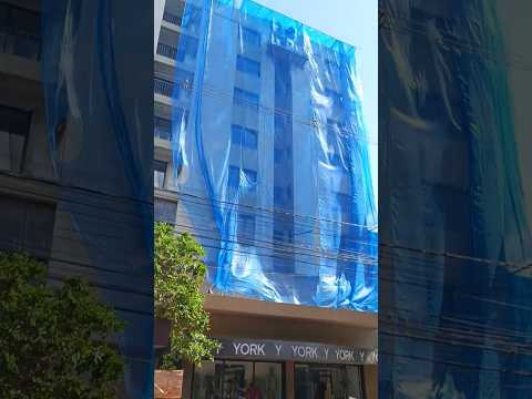 Equipe Arborização Semapa-Bagé: Poda Técnica na Praça do Coreto (Parte 2)