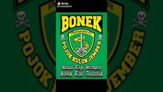 Download lagu Bonek salam satu nyali wani mp3