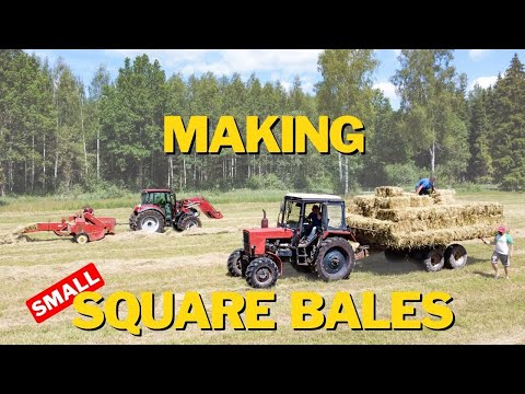 HARDEST JOB ON SMALL DAIRY FARM! MAKING SQUARE HAY BALES