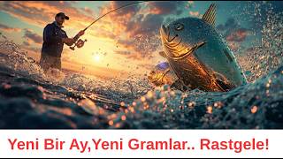 Altın Gram 6720 TL Gümüş 114 TL Dolar 46.05 TL Satışı, Yapay Zeka İçin Emeklilik Fonları Soygunu