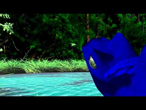 The Pond and the Frog