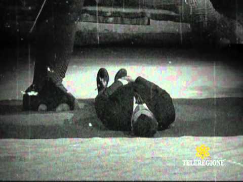 tv sarde - promo comiche con conduttre schiacciato dfa elefante - quasi schiacciato