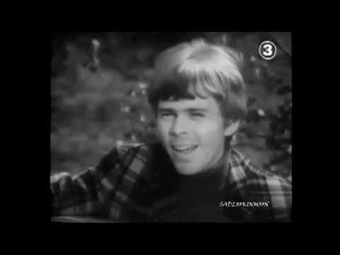 Hootenanny Singers (Björn, ABBA) - Omkring tiggarn från Luossa