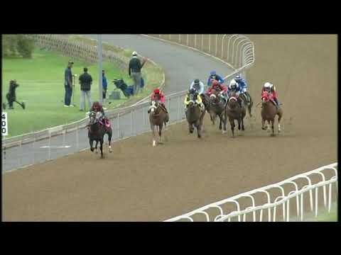 20210203 Hollywoodbets Greyville express clip Race 2 won by GINGER BISCUIT