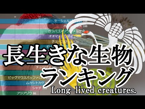 最も長生きする動物 - 5. ホッキョククジラ (211 歳)