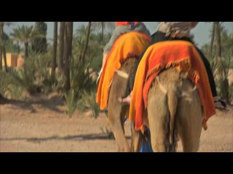 Behind the Scenes: Morocco Part 2, Camel Riding