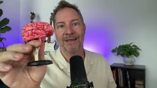 🧠 Your Child's Brain (10 days to TEFOS with Seth Perler)