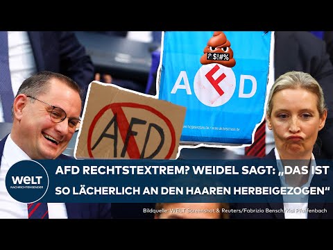 RECHTSEXTREMISMUS: AFD kämpft weiter gegen Verfassungsschutz – Oberverwaltungsgericht verhandelt