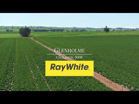 2214 Coolamon Road, Coolamon, NSW 2701, 4 Bedrooms, 2 Bathrooms, Lifestyle Property