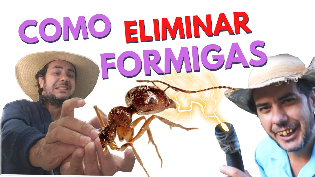 COMO ELIMINAR FORMIGAS CORTADEIRAS - COMPLETO!!!