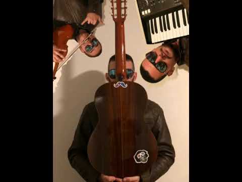 Dobri Dupini - Morski Po Forski