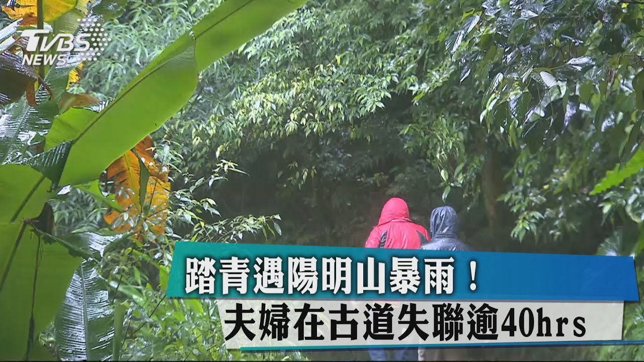 踏青遇陽明山暴雨! 夫婦在古道失聯逾40小時