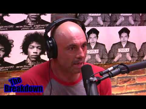 Owen Benjamin and Joe Rogan on Animal Intelligence, Nikola Tesla and his pigeon love