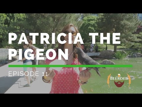 Patricia the Pigeon- Episode 11