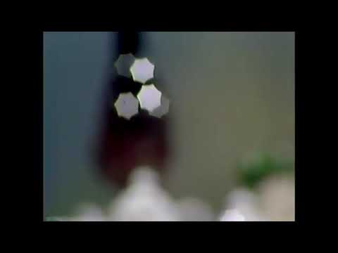 Ofra Haza עפרה חזה♥️